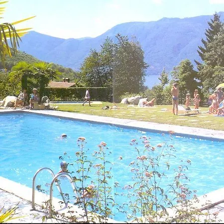 Eucalipto 1 * Germignaga